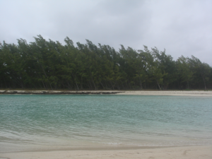 鹿岛对面的小岛，退潮的时候可以走过去，不用涉水。